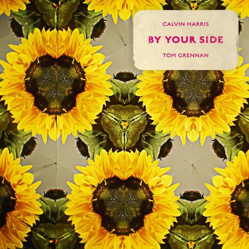 By Your Side (feat. Tom Grennan) از Calvin Harris