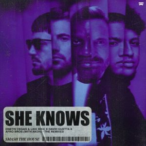 She Knows (with Akon) (The Remixes) از Dimitri Vegas & Like Mike