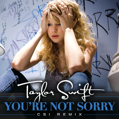 You're Not Sorry (CSI Remix) از Taylor Swift