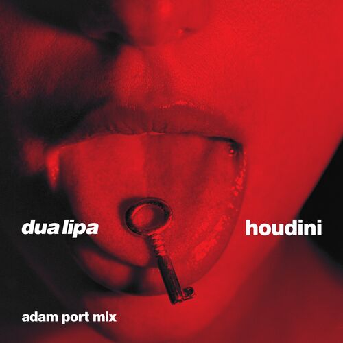 Houdini (Adam Port Mix) از Dua Lipa