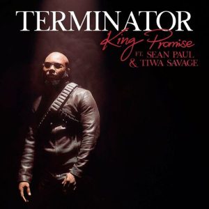 Terminator (Remix) از King Promise