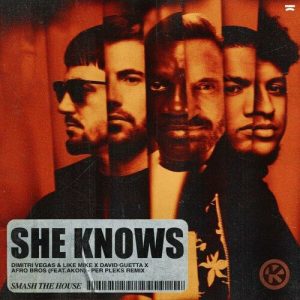 She Knows (Per Pleks Remix) از Dimitri Vegas & Like Mike