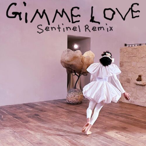 Gimme Love (Sentinel Remix) از Sia