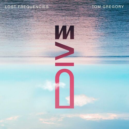 Dive از Lost Frequencies