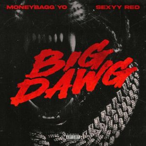 Big Dawg از Moneybagg Yo