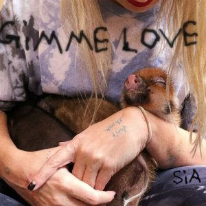 Gimme Love (Reasonable Woman Version) از Sia