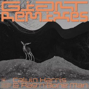 Giant (Remixes) از Calvin Harris