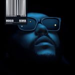 Moth To A Flame (Moojo Remix) از Swedish House Mafia