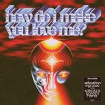 How Do I Make You Love Me? (Sebastian Ingrosso & Salvatore Ganacci Remix) از The Weeknd