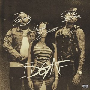 IDGAF (feat. Chris Brown and Mariah the Scientist) از Tee Grizzley