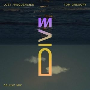 Dive (Deluxe Mix) از Lost Frequencies