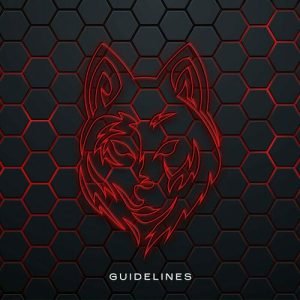 Guidelines از Masked Wolf