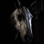 Everybody Needs Someone از Noah Cyrus