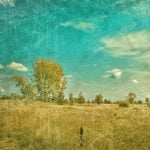 I Gave Everything از Connor Price