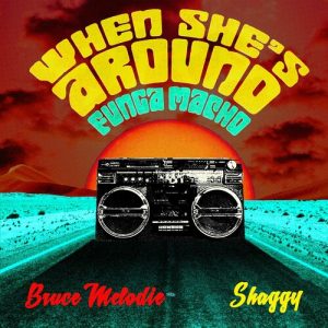When She's Around (Funga Macho) از Bruce Melodie