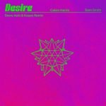 Desire (Steve Aoki & KAAZE Remix) از Calvin Harris