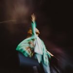 آهنگ You’ve Got The Love