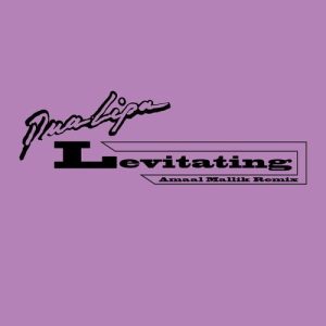 Levitating (feat. Prakriti Kakar & Sukriti Kakar) [Amaal Mallik Remix] از Dua Lipa
