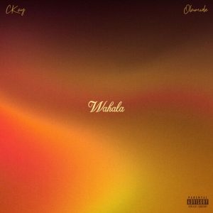 Wahala (feat. Olamide) از CKay