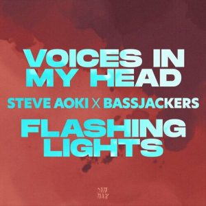 Voices In My Head / Flashing Lights از Steve Aoki