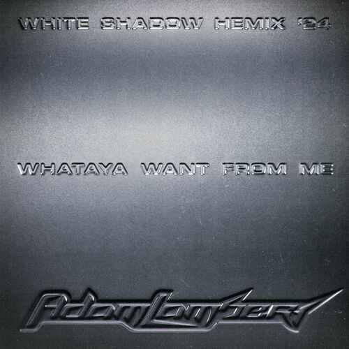 Whataya Want From Me '24 (White Shadow's HEmix) از Adam Lambert