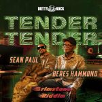 Tender Tender از Sean Paul