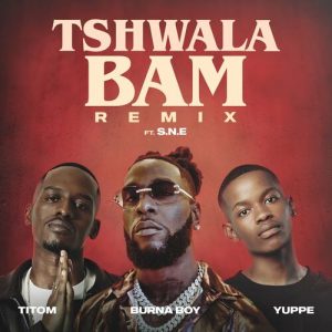 Tshwala Bam (feat. S.N.E) (Remix) از Titom