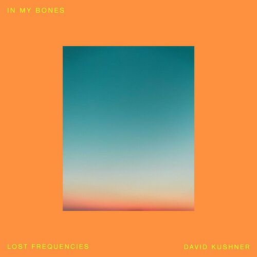 In My Bones از Lost Frequencies