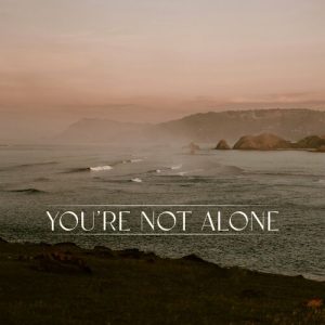 You're Not Alone (James Carter Remix) از Punctual