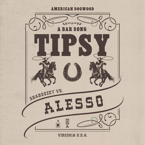 A Bar Song (Tipsy) [Remix] از Shaboozey