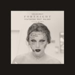 Fortnight (Cults Remix) از Taylor Swift