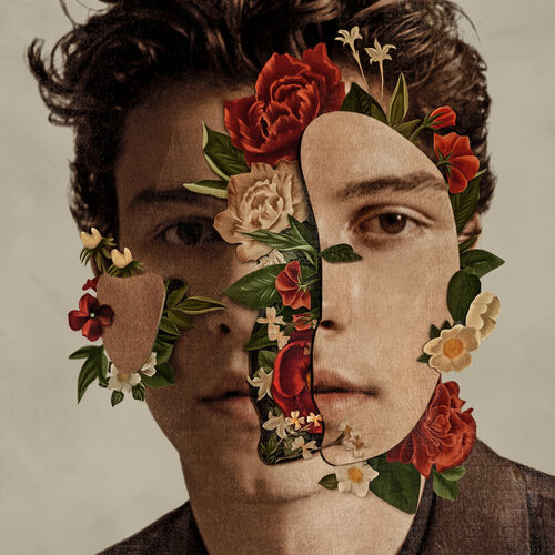 Shawn Mendes (Deluxe) از Shawn Mendes