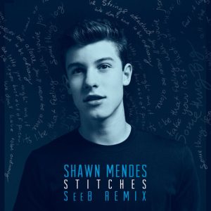 Stitches (Seeb Remix) از Shawn Mendes