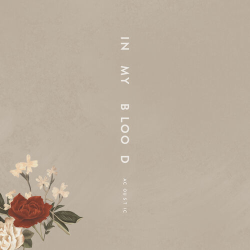 In My Blood (Acoustic) از Shawn Mendes