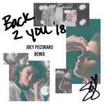 Back To You (Joey Pecoraro Remix) از Selena Gomez