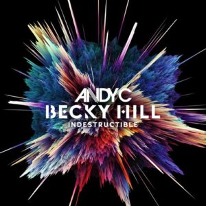 Indestructible از Andy C