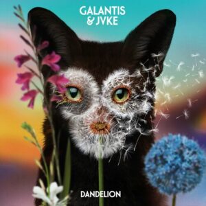 Dandelion از Galantis