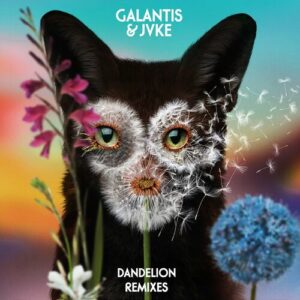 Dandelion (Remixes) از Galantis