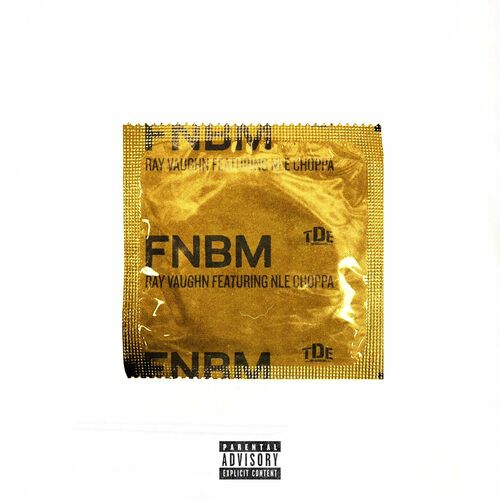 FNBM (feat. NLE Choppa) از Ray Vaughn