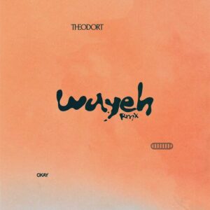 Wayeh (feat. CKay) (Remix) از THEODORT