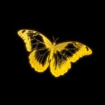 SHINE (golden hour sample) از JVKE