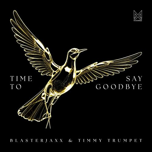 Time To Say Goodbye از Blasterjaxx