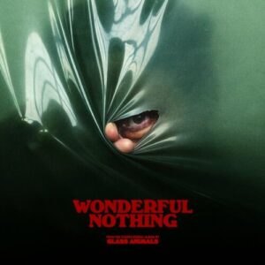 Wonderful Nothing (Edit) از Glass Animals