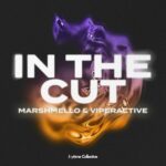 In The Cut از Marshmello