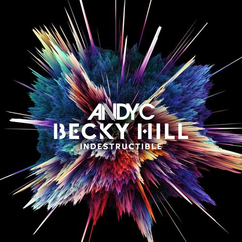 Indestructible (Disrupta Remix) از Andy C