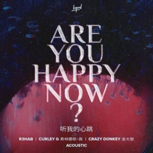 Are You Happy Now (Acoustic) از R3HAB