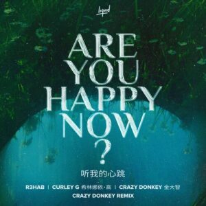 Are You Happy Now (Crazy Donkey Remix) از R3HAB