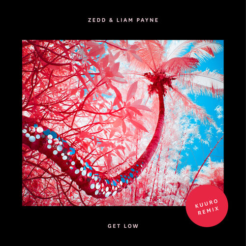 Get Low (KUURO Remix) از Zedd