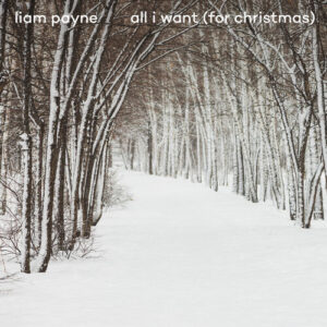 All I Want (For Christmas) از Liam Payne