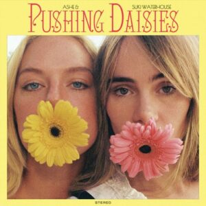 Pushing Daisies از Ashe